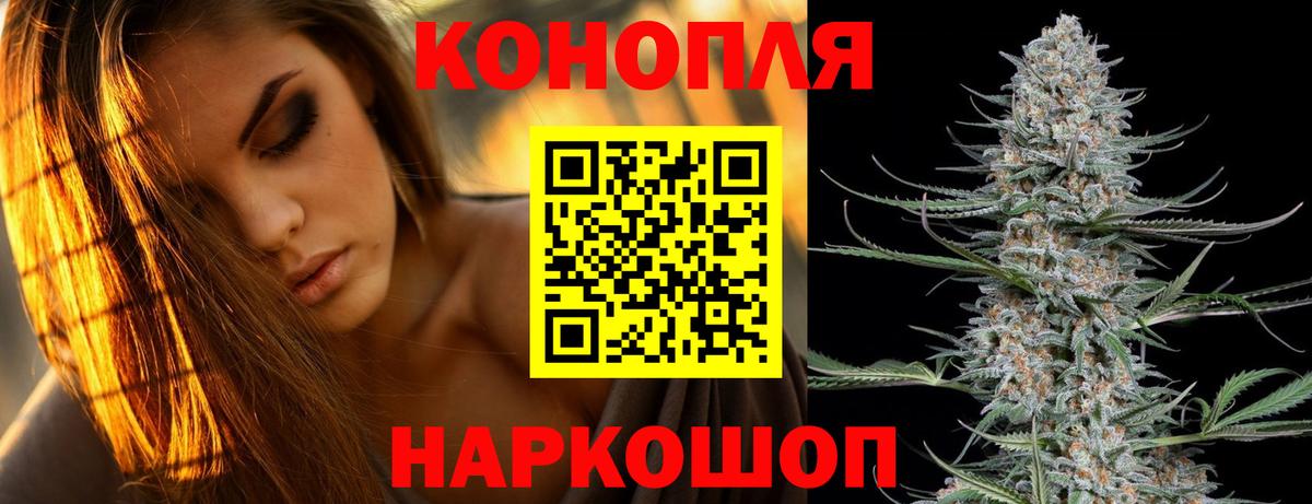 Бошки Шишки план  Конопля ГИДРОПОН  Шадринск  Вход с VPN  Марихуана Bruce Banner 